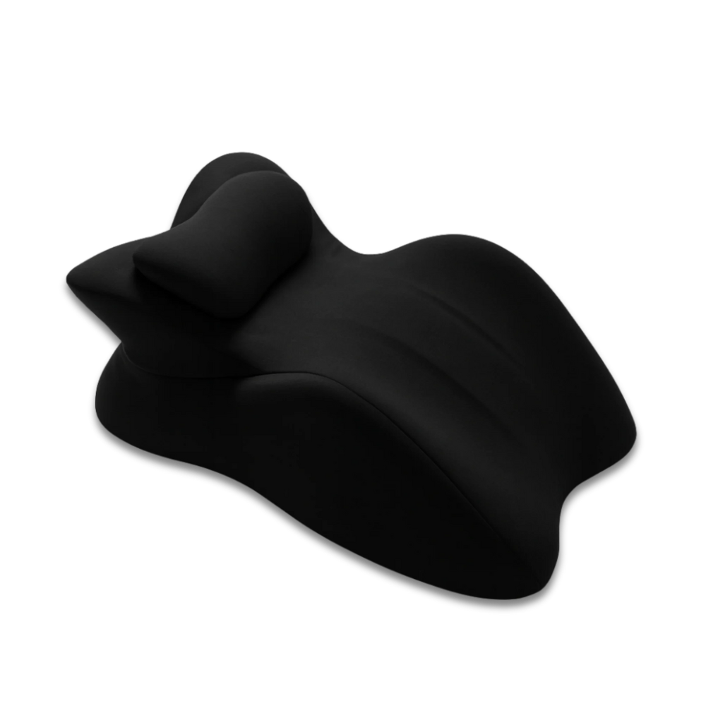 Premium Washable Pillow Case